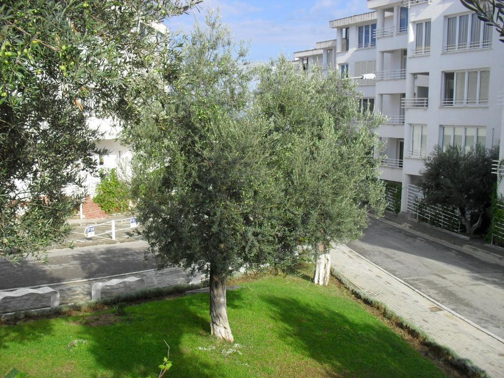 Casa de hóspedes Kodra E Diellit 4*